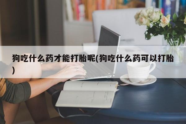 堕胎药在线购买狗吃什么药才能打胎呢(狗吃什么药可以打胎)