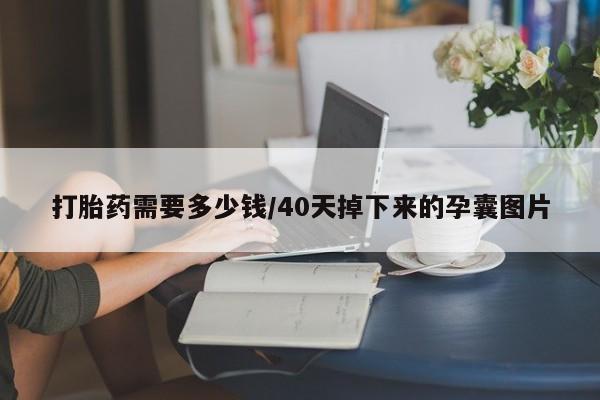堕胎药在线购买打胎药需要多少钱/40天掉下来的孕囊图片